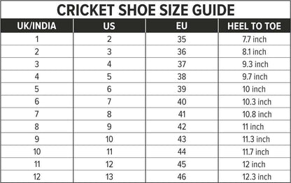 DSC Beamer X Cricket Shoes - Dark/Cyan - Rubber Sole - Adult & Kids